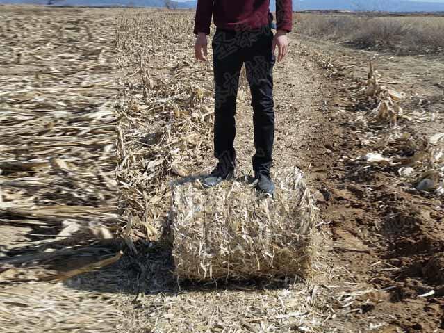 麥子秸稈（gǎn）回（huí）收打捆機（jī）整體剛性好，機器維護保養方便快（kuài）捷