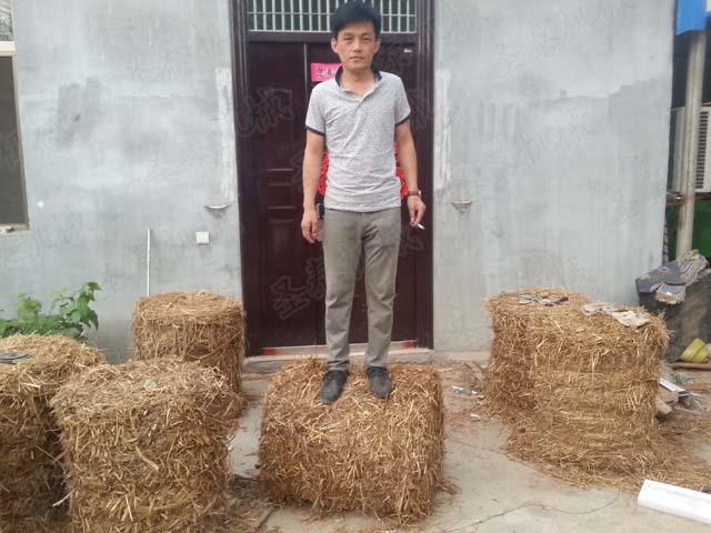 稻草撿（jiǎn）拾（shí）打捆機的使用增加農民收入，打好後的草捆易於銷售
